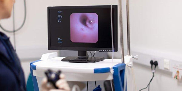 Eden Vets Referrals Internal Medicine Services