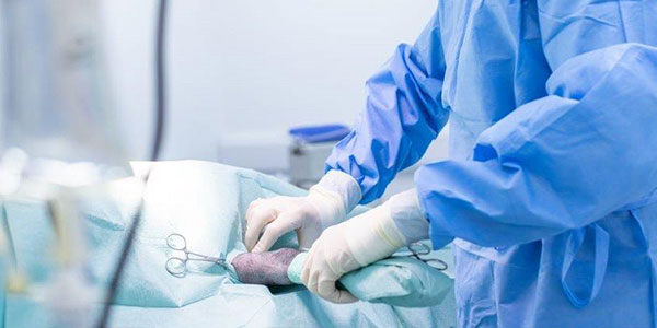 Eden Vets Referrals Orthopedic Surgical Services